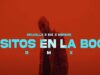 Delvalle x Eix x Espano – Besitos En La Boca (Remix)