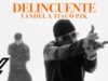 Yandel, Tiago PZK – Delincuente (Video Oficial)